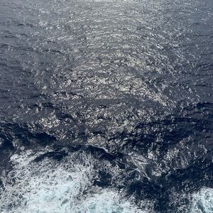 Meet your Posher, Ava